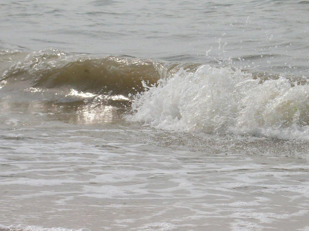 Більшовик з panoramio.com - Більшовик