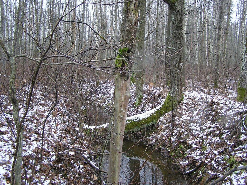 Горщик з panoramio.com - Горщик