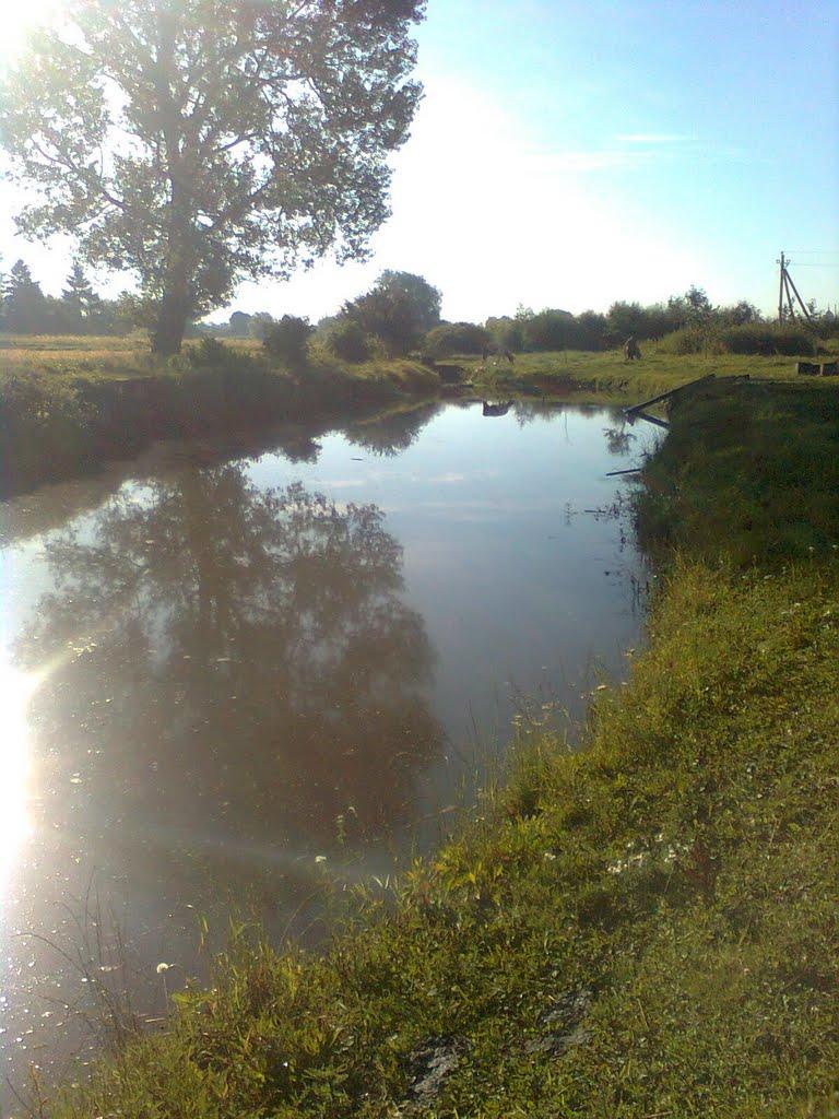 Дарахів з panoramio.com - Дарахов