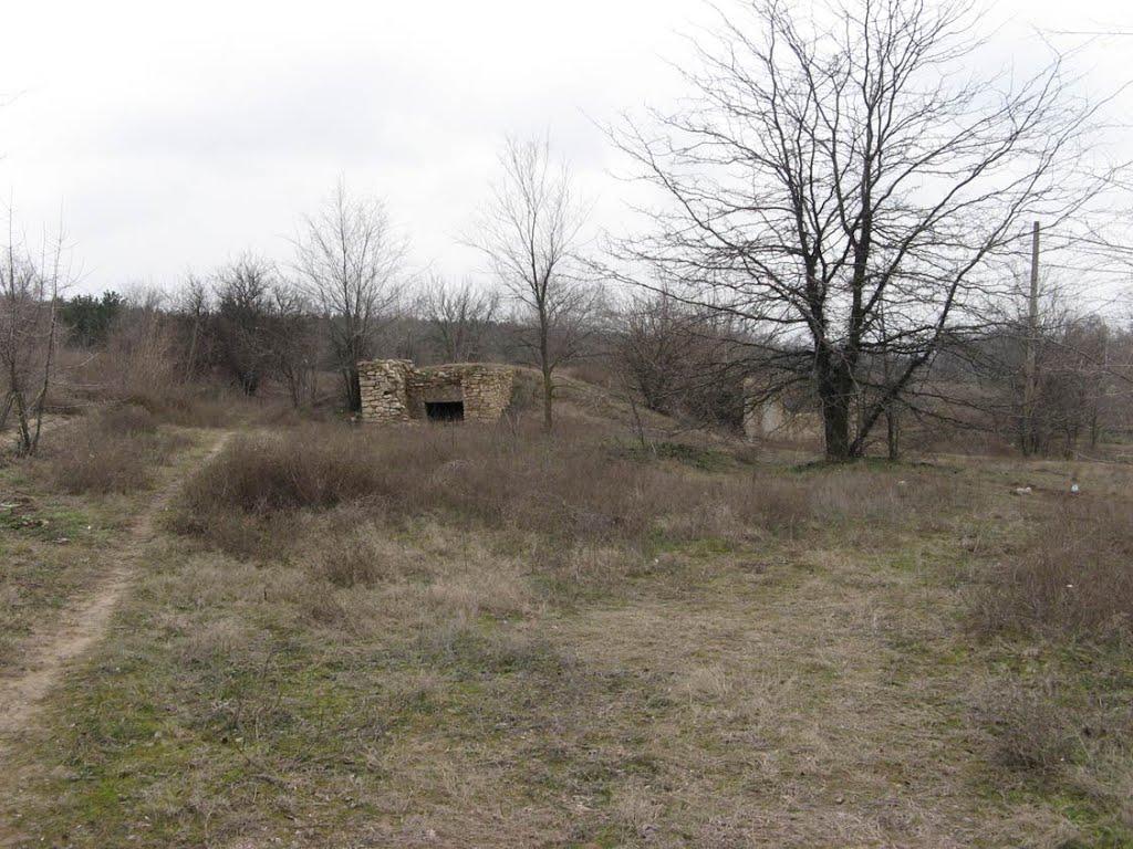 Широке з panoramio.com - Широке