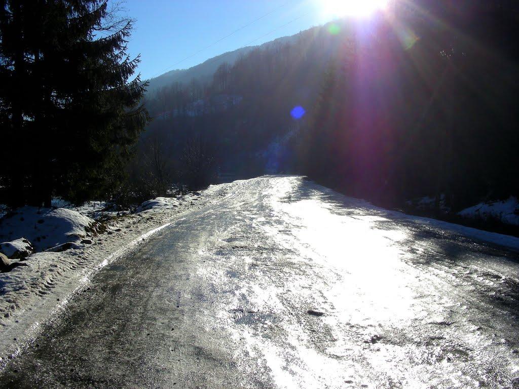 Усть-Чорна з panoramio.com - Усть-Чорна