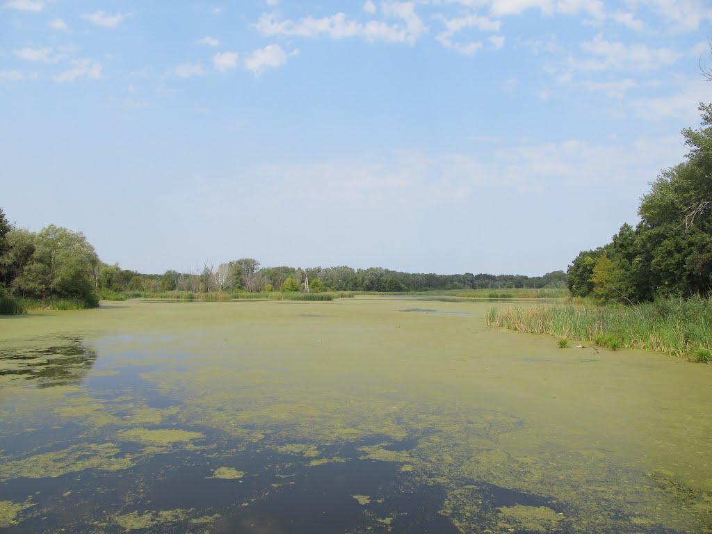 Райгородок з panoramio.com - Райгородок