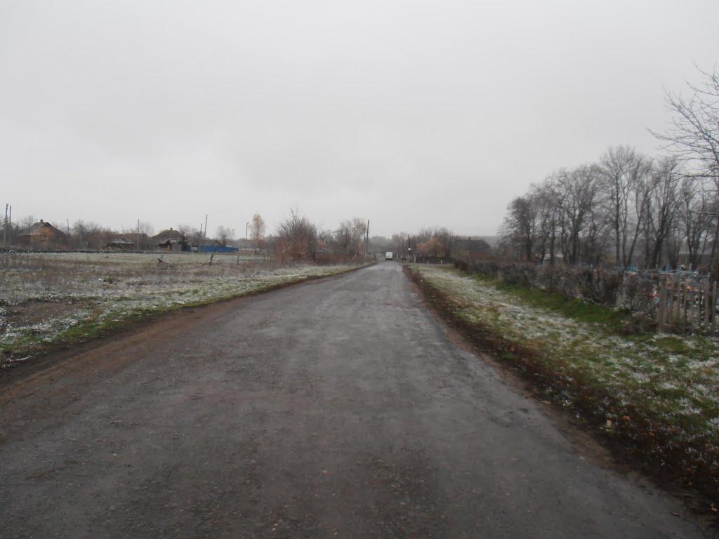 Черемушна з panoramio.com - Черемушна