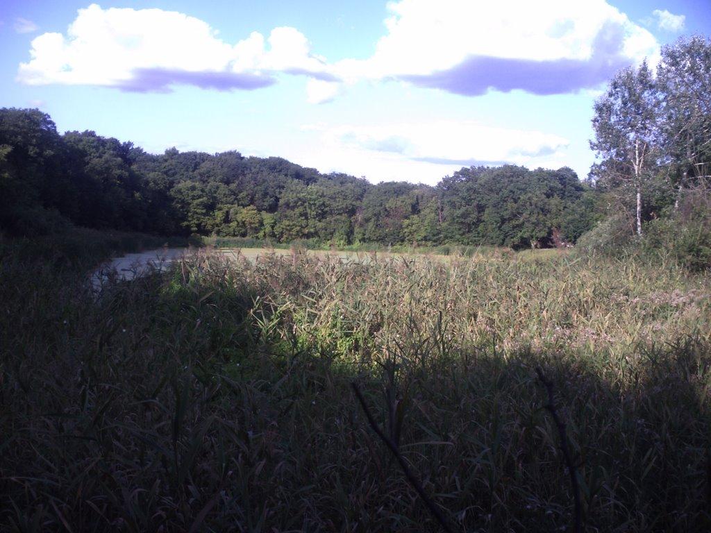 Орлівщина з panoramio.com - Орловщина
