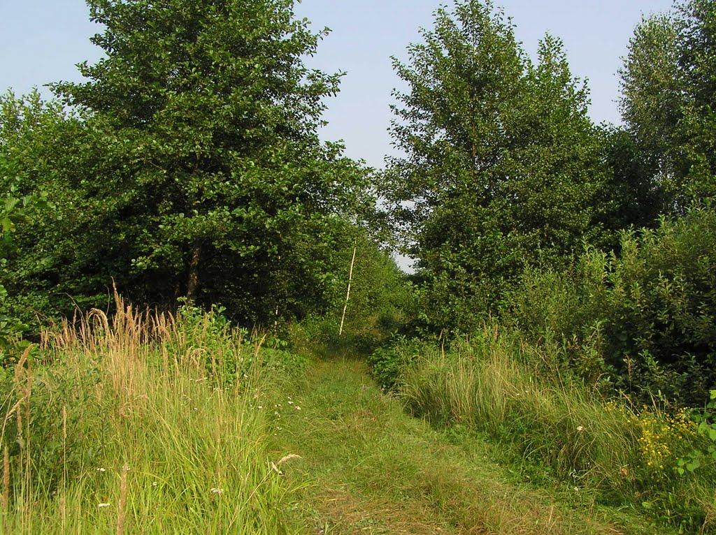 Горщик з panoramio.com - Горщик