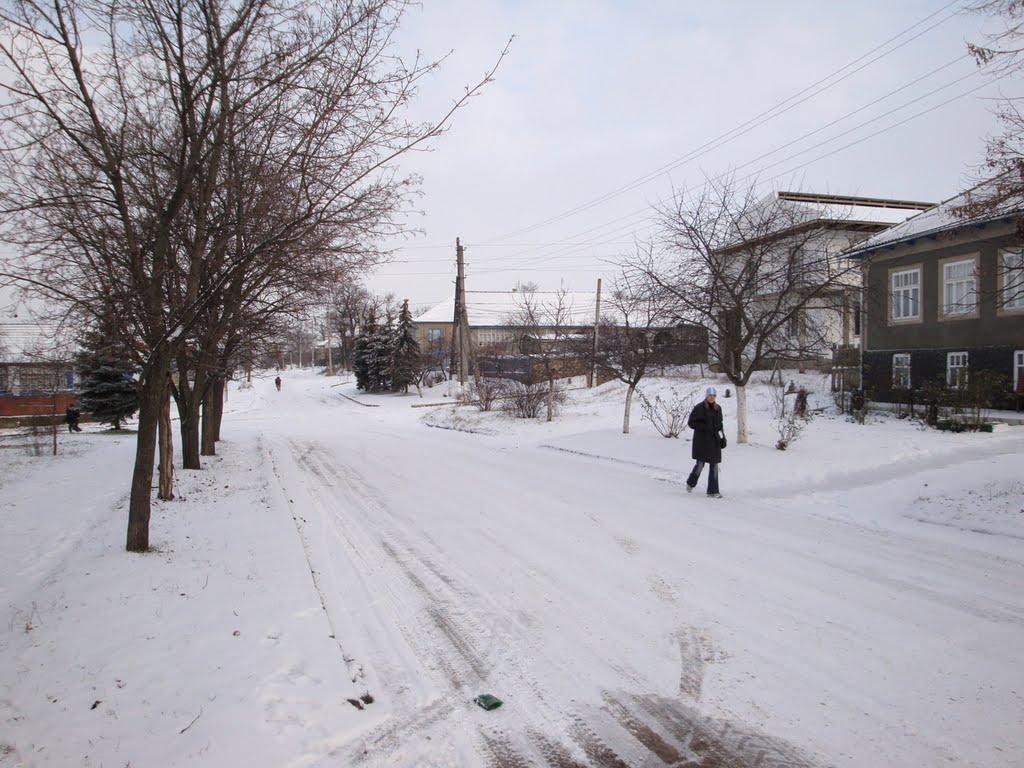 Дмитрівка з panoramio.com - Дмитрівка