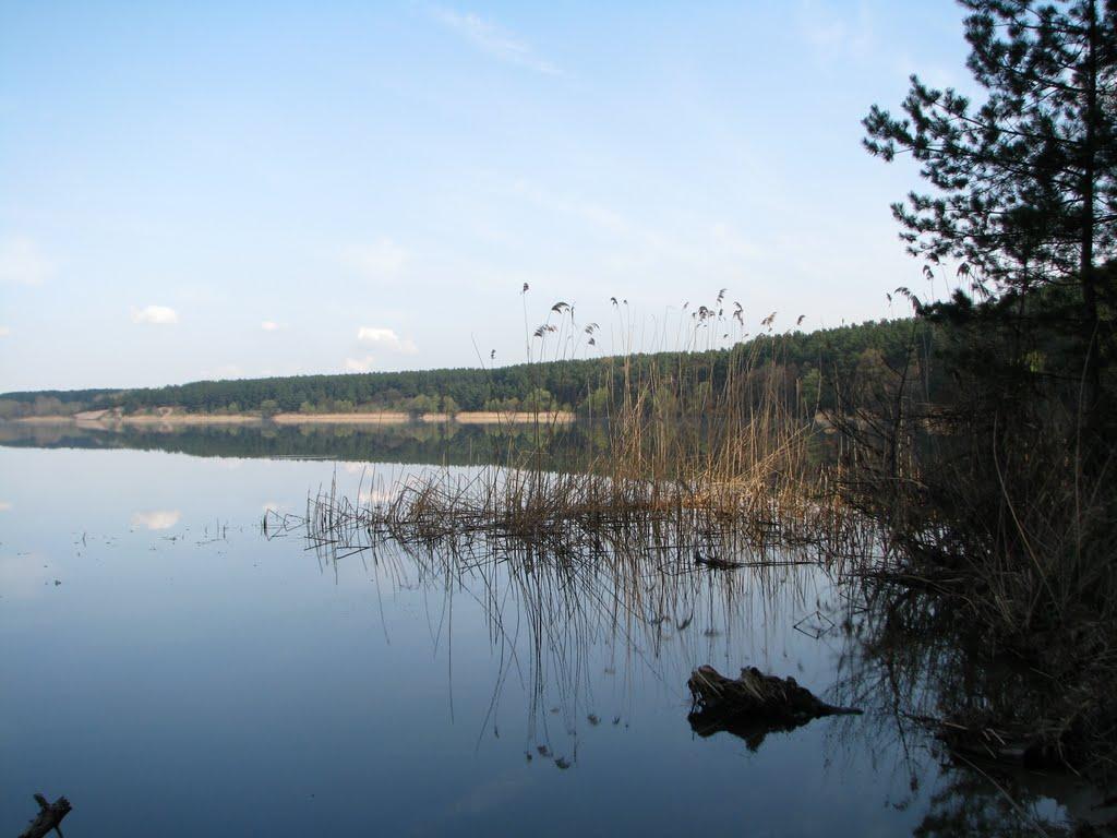 Старий Салтів з panoramio.com - Старый Салтов