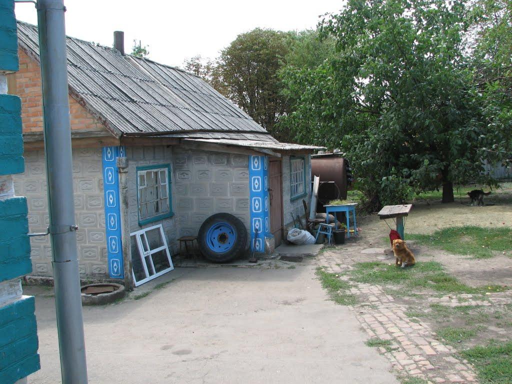 Нова Прага з panoramio.com - Нова Прага