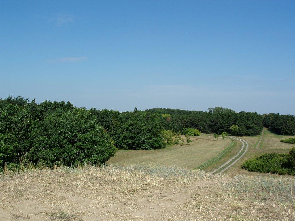 Асканія-Нова з panoramio.com - Askaniya-Nova