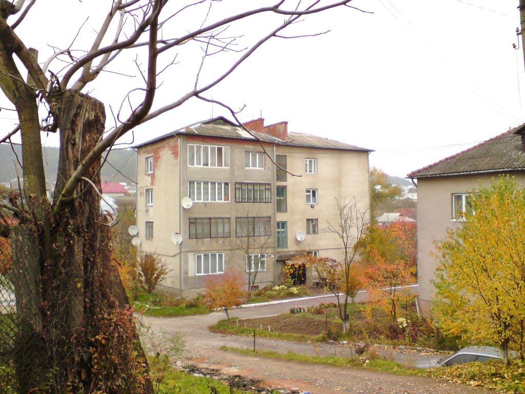 Бережани з panoramio.com - Бережаны