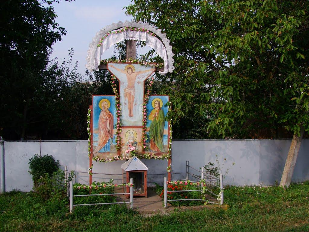 Рокитне з panoramio.com - Рокитне