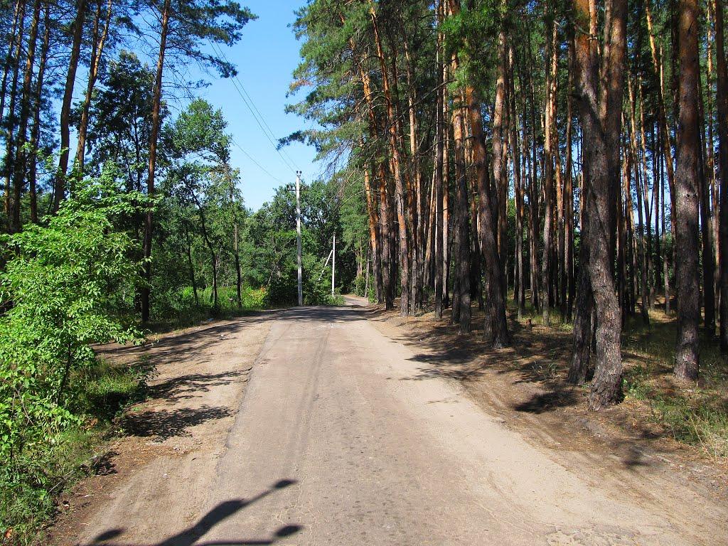 Райгородок з panoramio.com - Райгородок