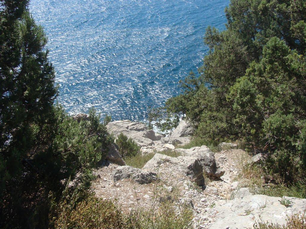 Голуба Затока з panoramio.com (ч.2) - Голуба Затока