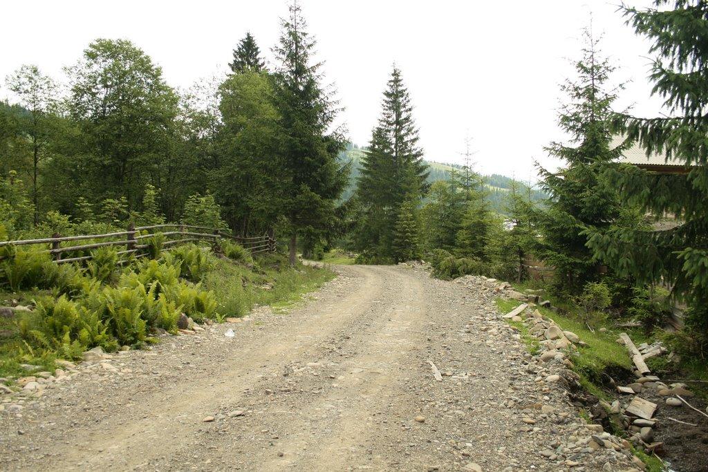 Берестечко з panoramio.com (ч.2) - Берестечко