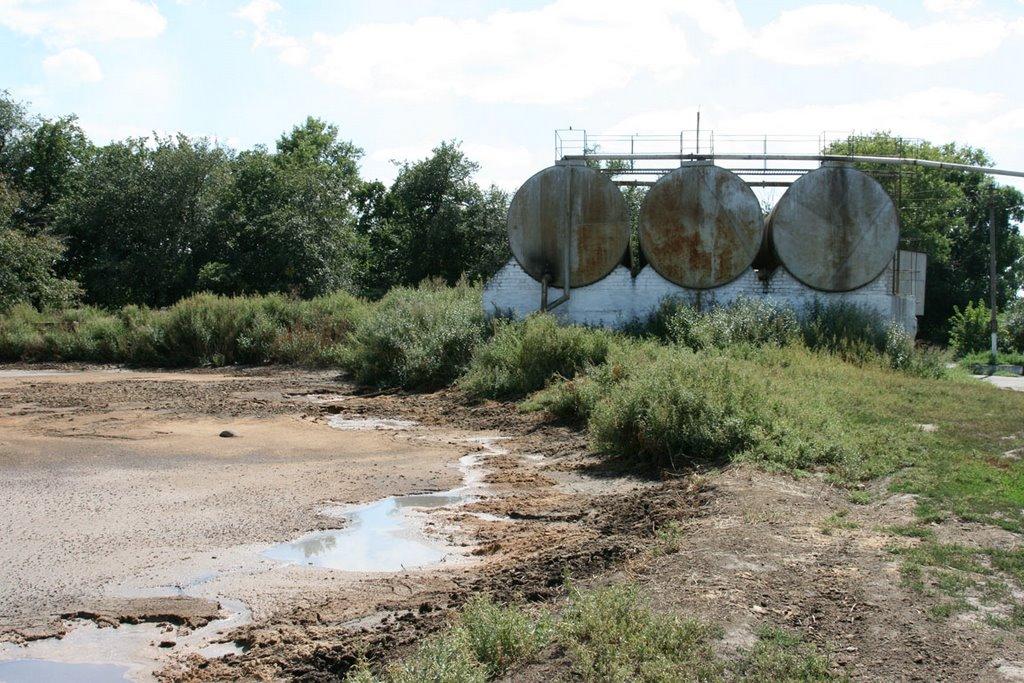 Триліси з panoramio.com - Триліси