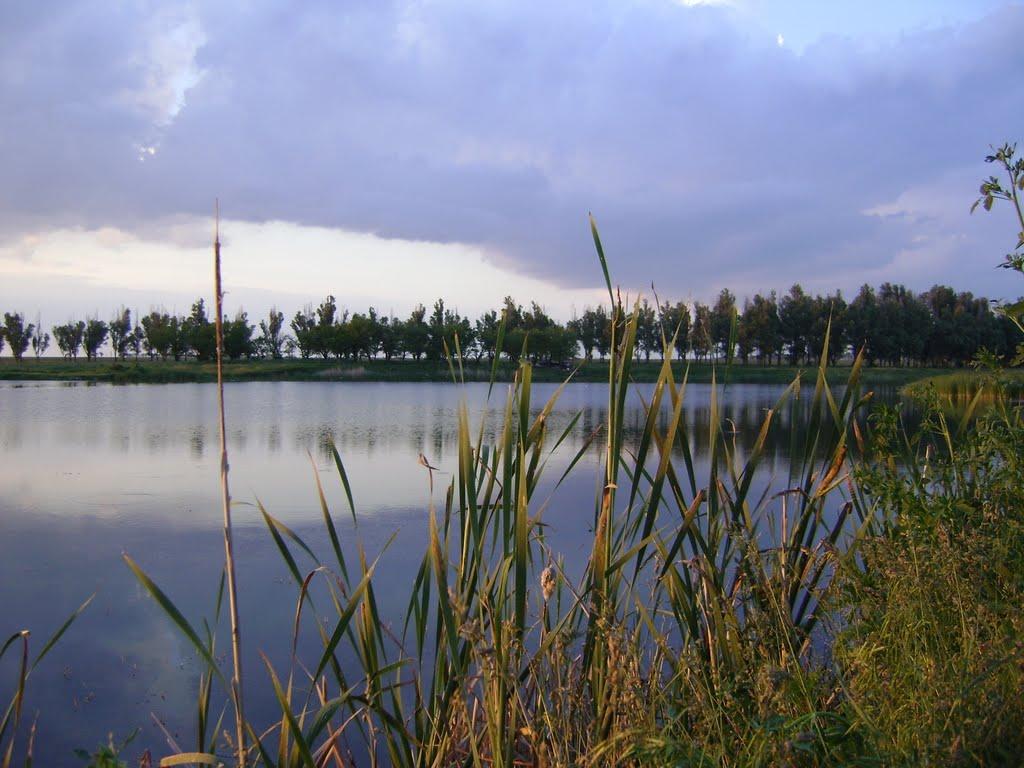 Новополтавка з panoramio.com - Новополтавка