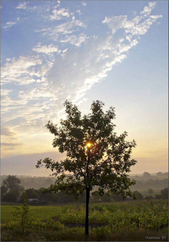 Авдотівка з panoramio.com - Авдотівка