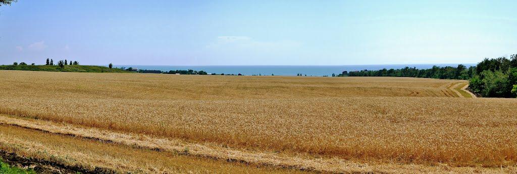Бердянське з panoramio.com - Бердянськое