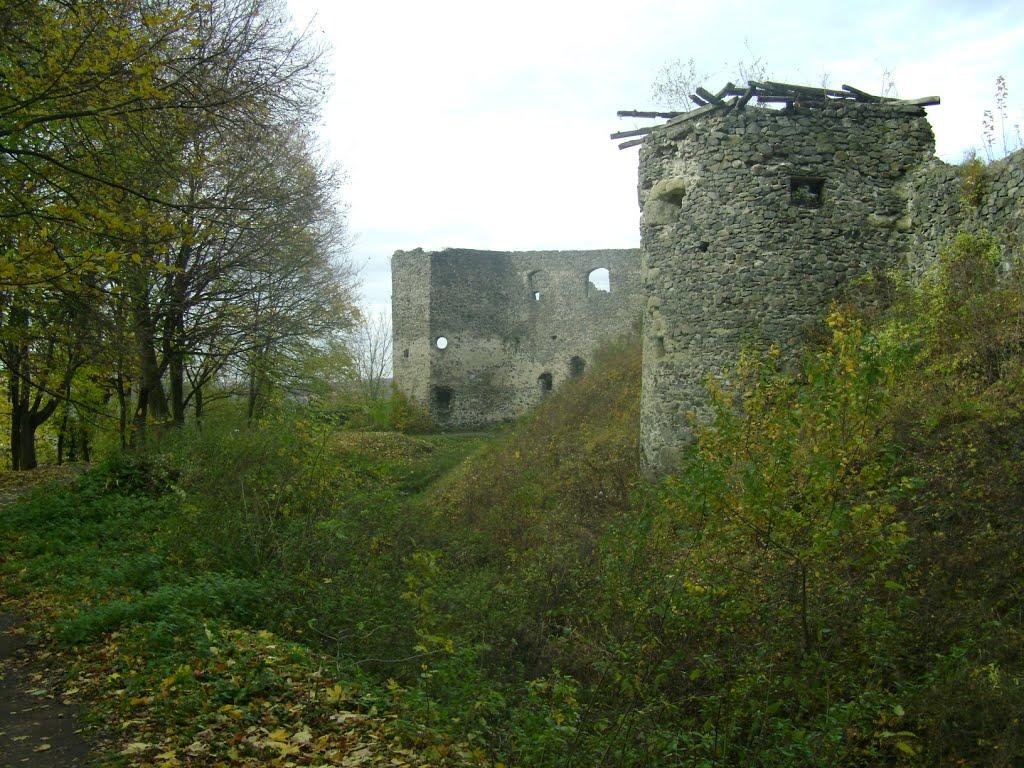 Кам'яниця з panoramio.com - Каменица