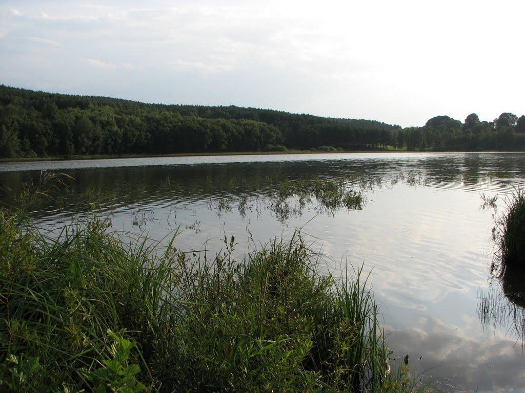 Мала Мощаниця з panoramio.com - Мала Мощаниця