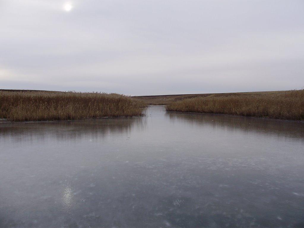 Олексіївка з panoramio.com - Олексіївка