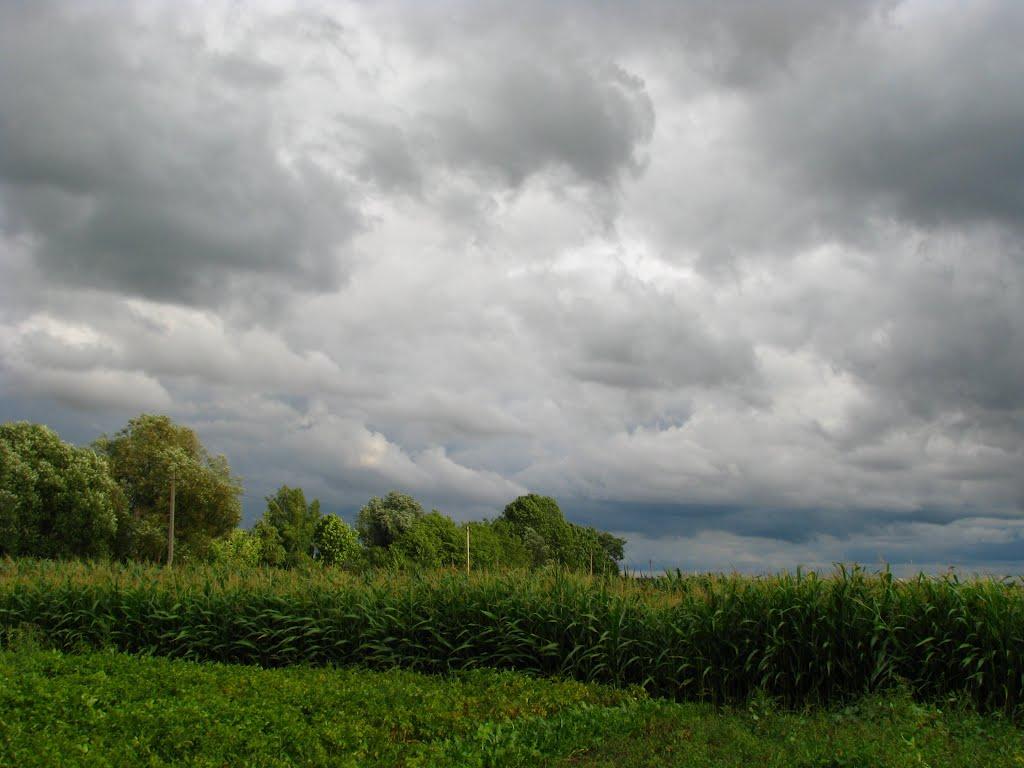 Закіт з panoramio.com - Закат