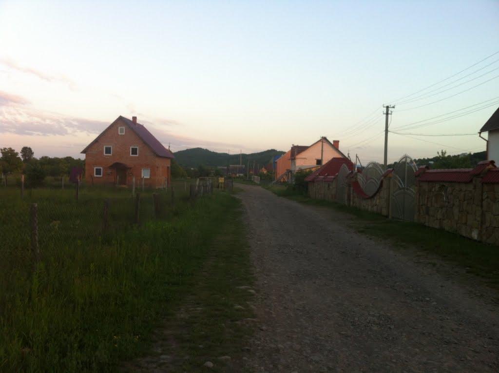 Чумальово з panoramio.com - Чумалево
