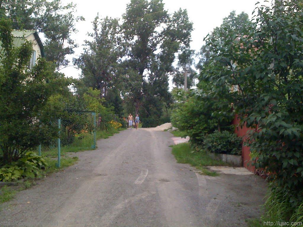 Новосілки з panoramio.com - Новосілки