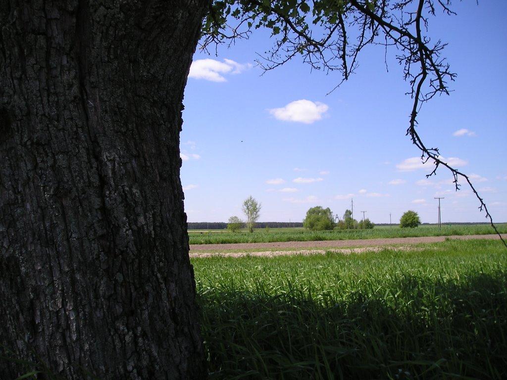 Горностайпіль з panoramio.com - Gornostaypil