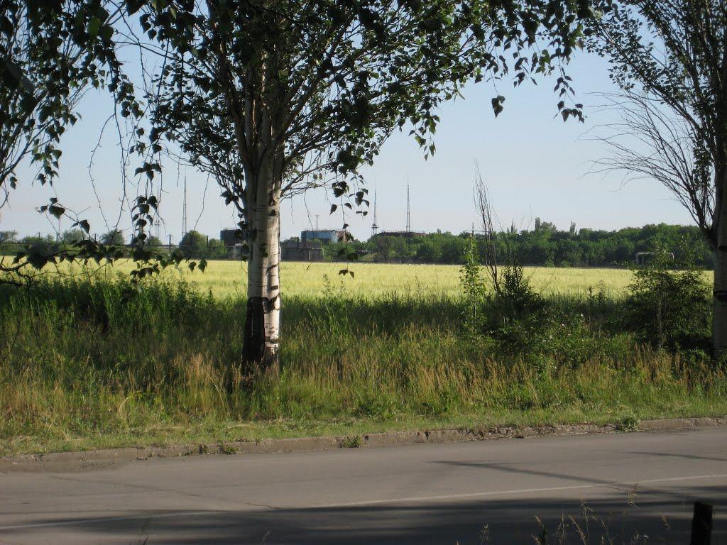 Кам'яне Поле з panoramio.com - Каменное Поле