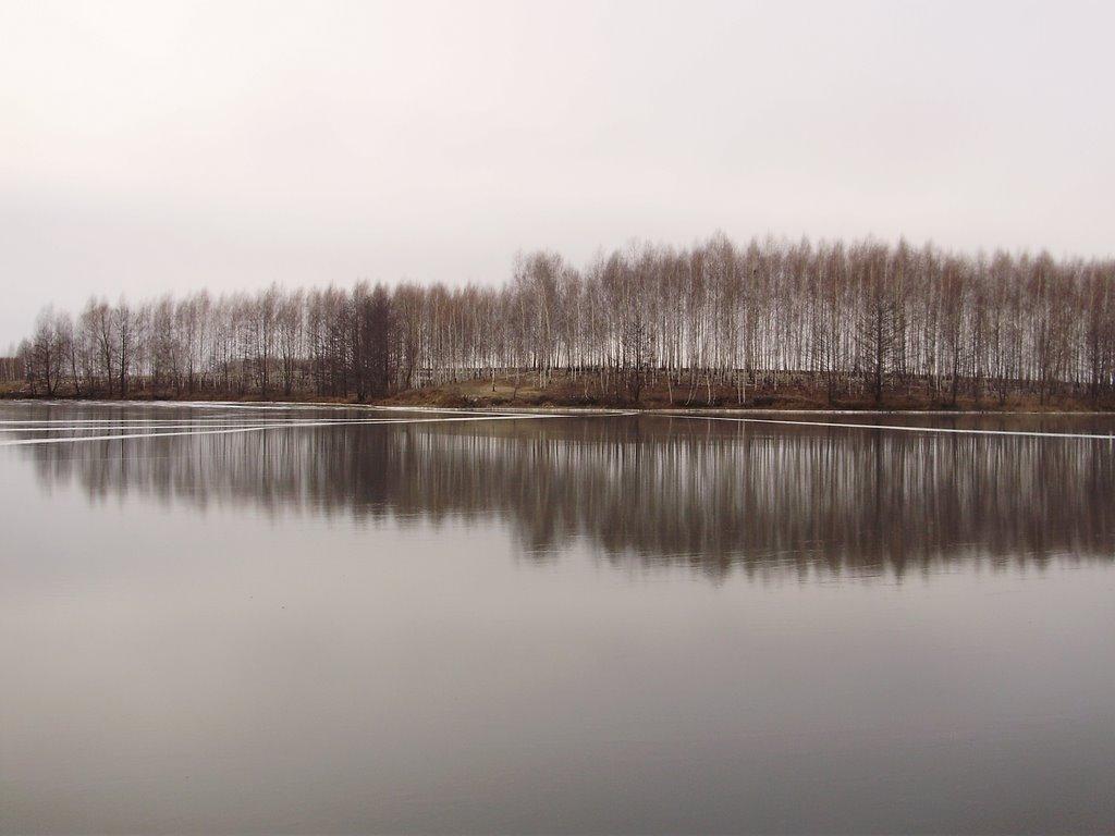 Кіндратівка з panoramio.com - Кіндратівка