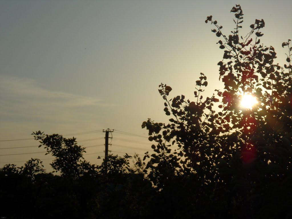 Більче з panoramio.com - Більче