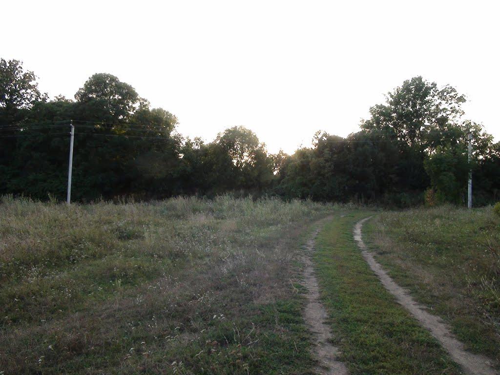 Люлинці з panoramio.com - Люлинцы