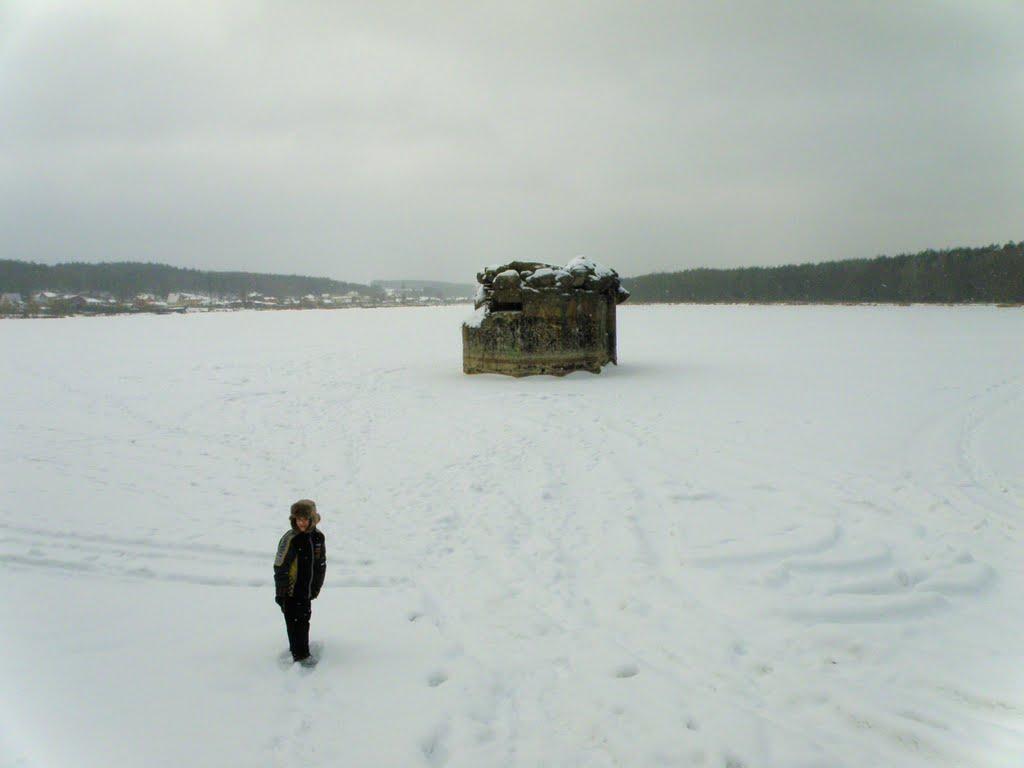 Лісники з panoramio.com - Лісники