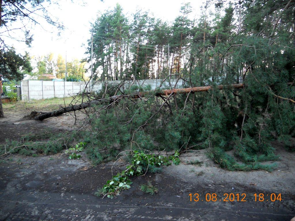Святогірськ з panoramio.com - Святогорск