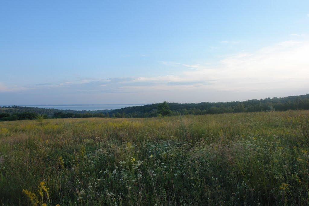 Великий Букрин з panoramio.com - Великий Букрин