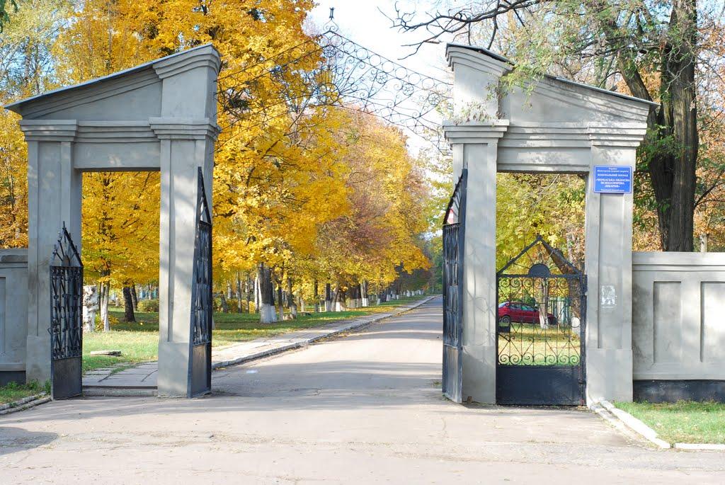 Шевченка з panoramio.com - Шевченко