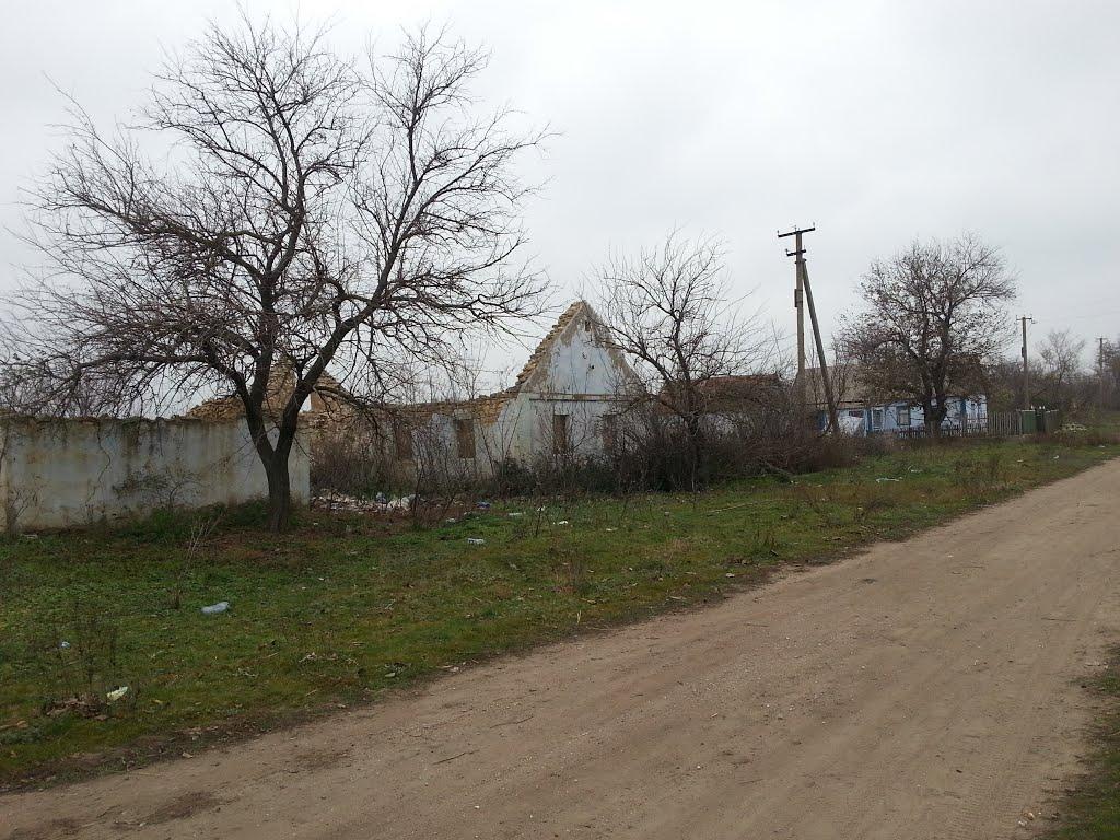 Мала Ганнівка з panoramio.com - Mala Gannivka