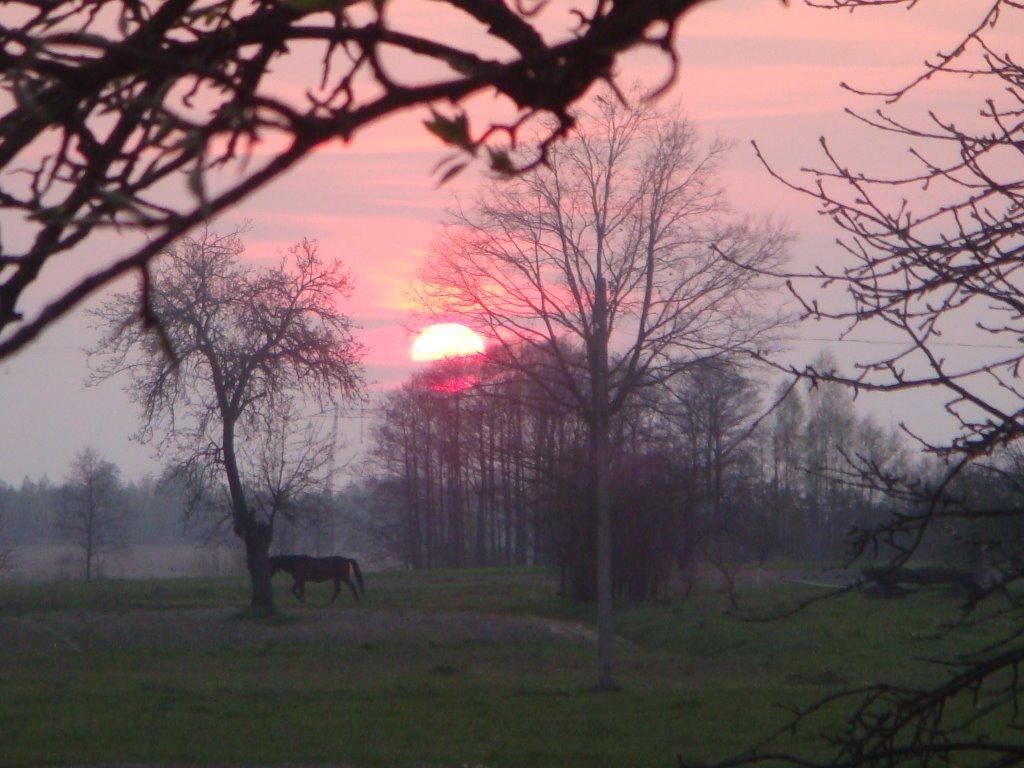 Мелені з panoramio.com - Мелені