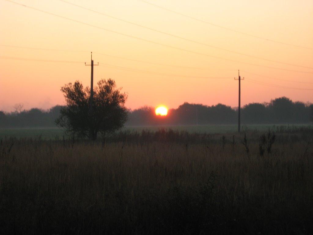 Ювілейне з panoramio.com - Yuvileyne