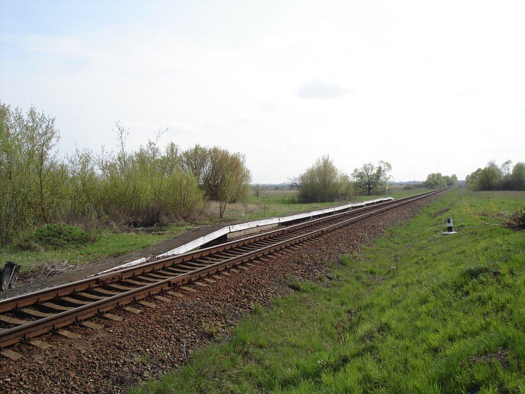 Вишнівське з panoramio.com