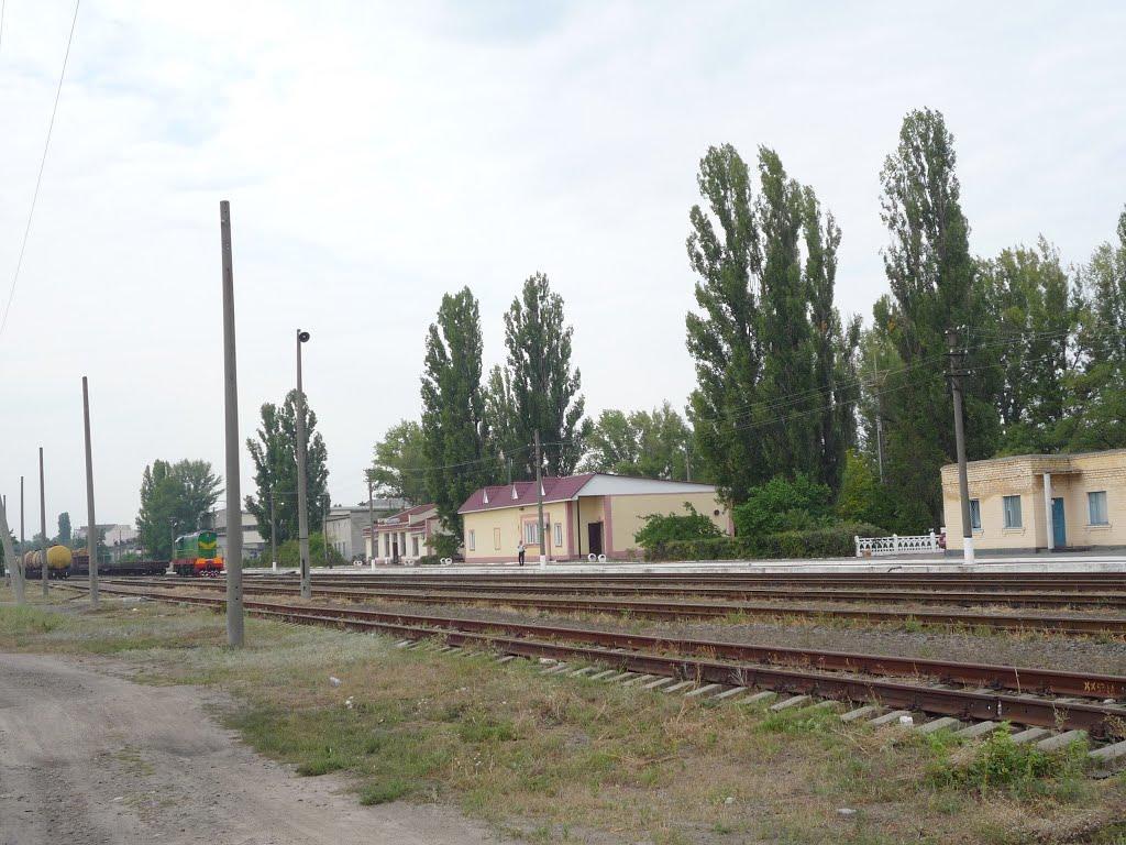 Світловодськ з panoramio.com (ч.2) - Світловодськ