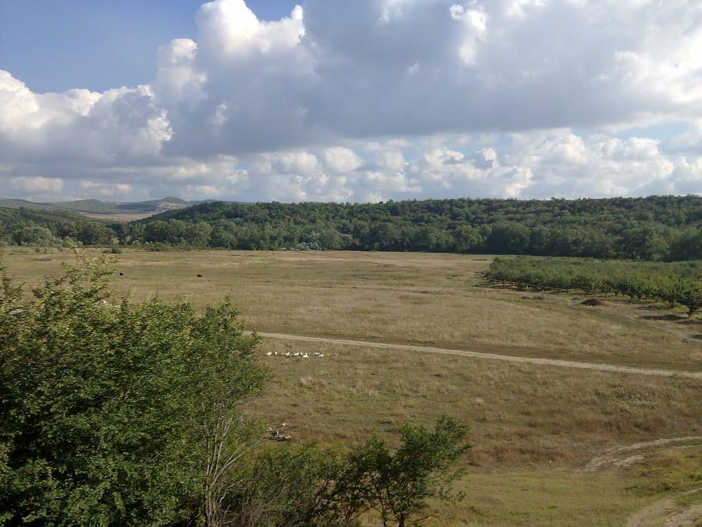 Поштове з panoramio.com - Поштове