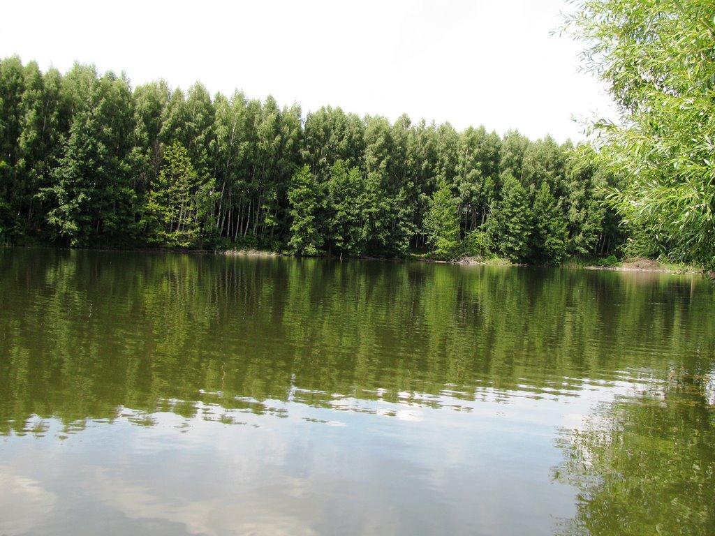 Кіндратівка з panoramio.com - Кіндратівка