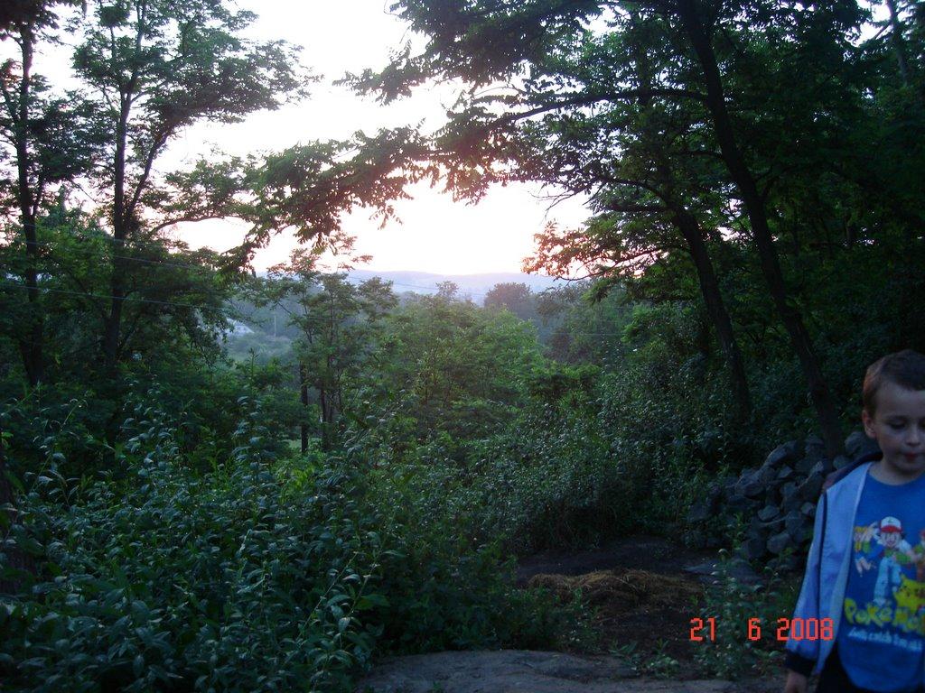 Мліїв з panoramio.com - Млиев