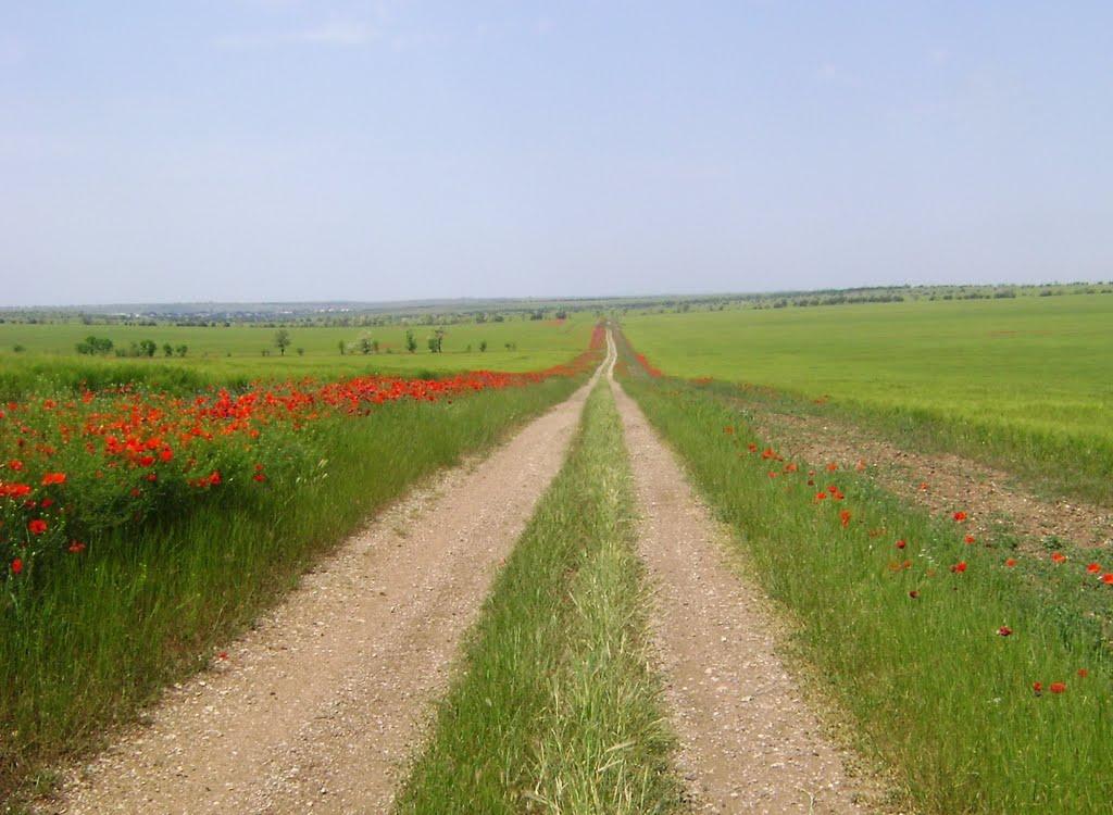 Міжгірне з panoramio.com - Міжгірне