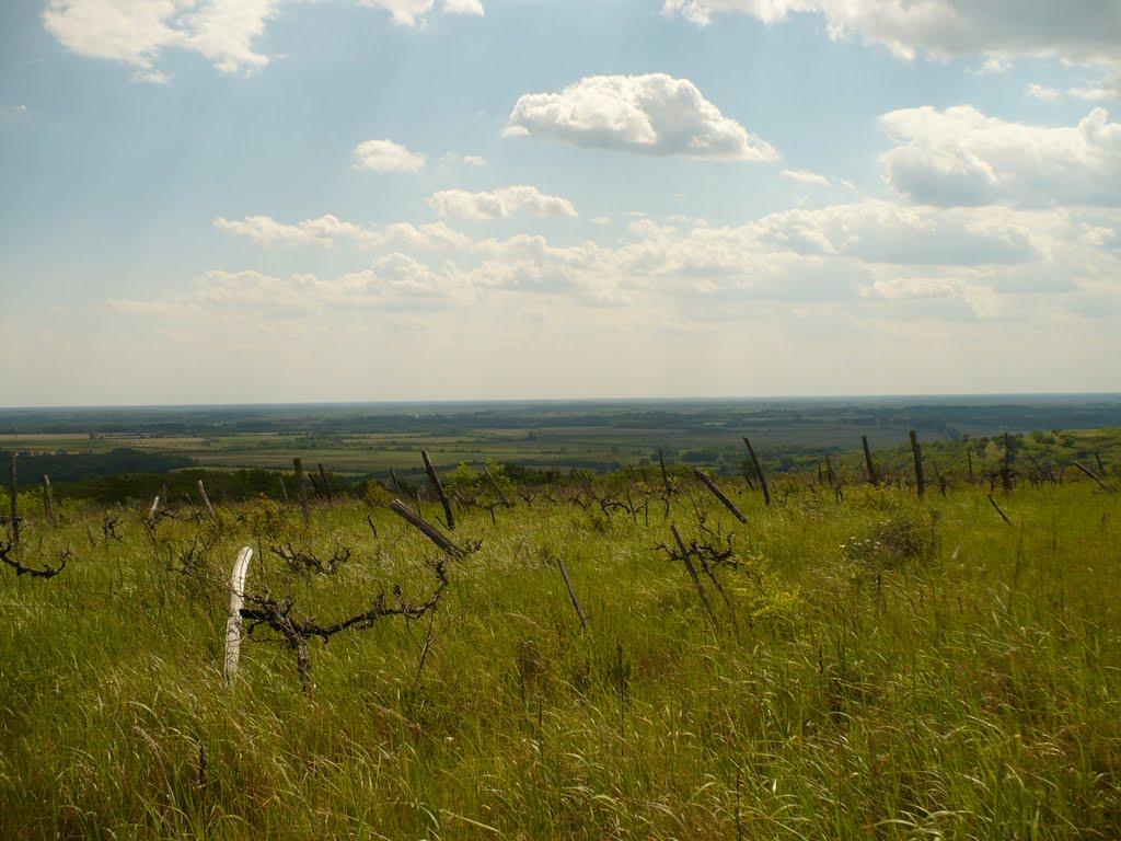 Косонь з panoramio.com - Косонь