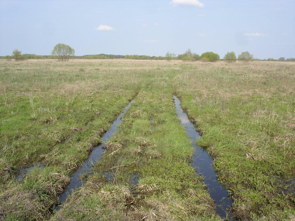 Вишнівське з panoramio.com - Вишнівське