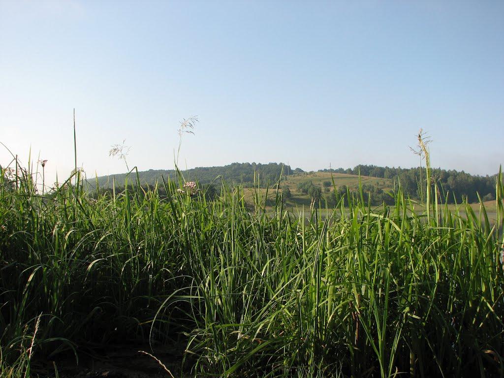 Мала Мощаниця з panoramio.com - Мала Мощаниця