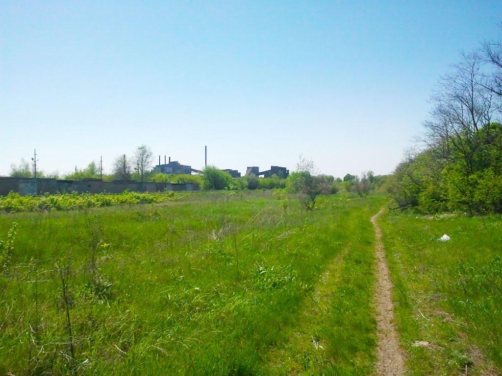 Олександрівка з panoramio.com - Олександрівка